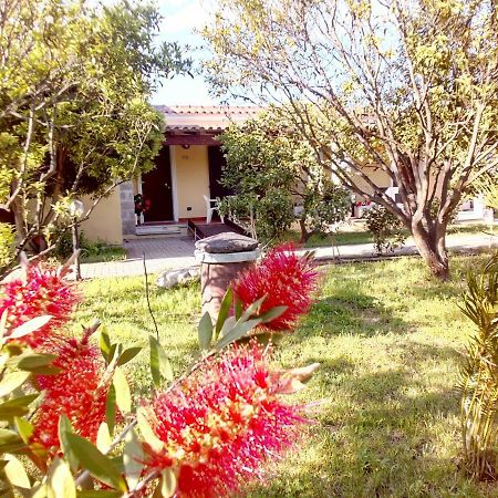 Su Pasu Hotel Tortoli Bagian luar foto
